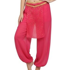 Hot Pink Large Sheer Harem Genie Pants Gold Star Accents Beads Festival Costume